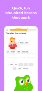 duolingo 3