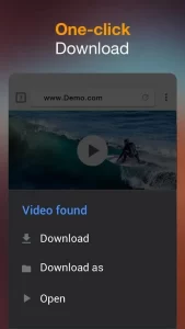 Video Downloader Pro 1